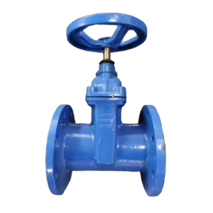 DN50 Cast Iron Flange Gate Valve Suitable For Warm Water Applications Manual Z45 ODM OEM
