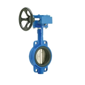 DN50 DN200 API609 Manual Worm Gear Cast Lron Butterfly Valve for Wafer Connection PN10 16