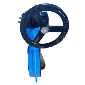 DN50-DN500 Abrasion-Resistant Gear Operated Clamp Turbine Butterfly Valve