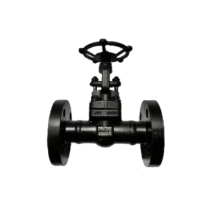 DN50 DN600 Steel Globe Shutoff Valve Made in China by a Professional Manufacturer