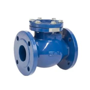 DN50 ~ DN800 PN150 ~ 800 Adjustable Stainless Steel Swing Check Valve ANSI Flange Connection