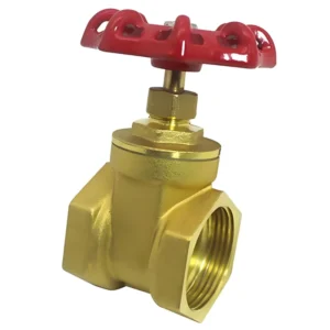 DN50 Female Thread Brass Gate Valve PN16 for Fire Fighting HVAC & Chemical Industry Customization Available