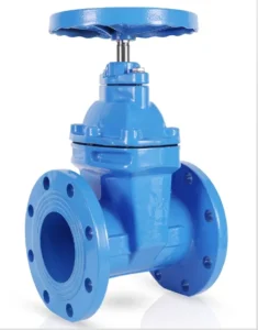 DN50 Manual Stainless Steel General Application Cast Iron Flanged Gate Valve for Water SHJD Z45X