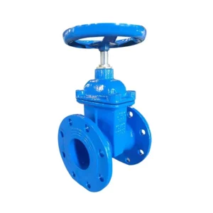 DN50 PN16 DIN ANSI BS 2 Inch Resilient Seated Sluice Ductile Iron Flange Gate Valve for Water Supply
