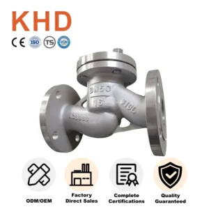 DN50 SS316 Flanged Check Valve Corrosion Resistant High Temperature Elevating Type Check Valve Flanged Connection