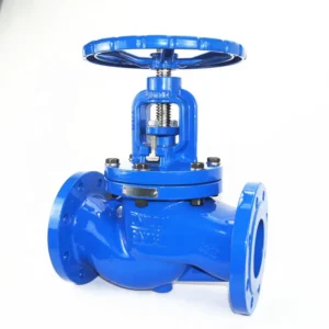 DN50~DN300 BS5152 PN16 Cast Iron Flange Type Globe Valve Check Water Manual