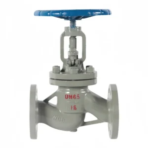 DN65 2.5inch OS&Y Manual Operated High Temperature Shutoff WCB Carbon Steel Flanged Globe Valve OEM Water Oil Steam