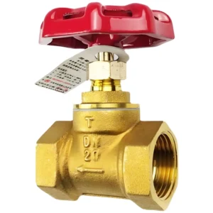 DN65 Brass Female Thread Globe Valve PN16 Special for Fire Fighting HVAC and Chemical Industry