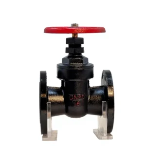 DN80 PN16 Manual Flanged Grey Cast Iron Gate Valve with Copper Seal for Oil Medium Temperature and Pressure