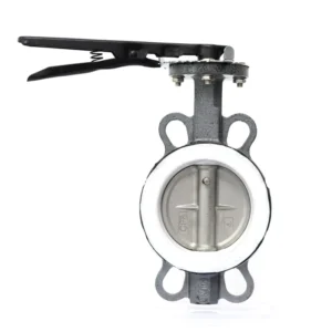 Direct Sale DN50 Wafer Butterfly Valve Manual Power Ductile Iron for Water Oil Gas High Quality Durable