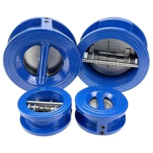 Dn50 2″ PN10 PN16 High Quality Ductile Iron Butterfly Single Way Double Check Clamp Flap Metal Check Valve Water Temperature