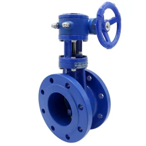 Double Eccentric Worm Gear Soft Seal Flange Connection Manual Type Ductile Iron Butterfly Valve EPDM NBR Water Oil Gas Medium