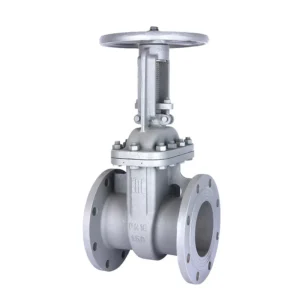 Dry Russian Standard Hard Sealed Flanged Gate Valve Z41-16C Manual DN150 Water
