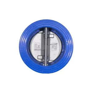 Ductile Cast Iron Double Disc One Way Dual Plate Non Return Wafer Type Flap Check Valve