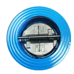 Ductile Cast Iron Flange Check Valve