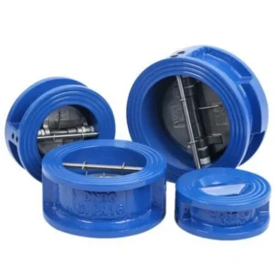 Ductile Grey Cast Iron Dual Plate Double Disc Wafer Check Valve for High Temperature Media OEM Customizable
