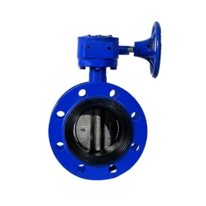 Ductile Iron Butterfly Valve PTFE PFA Seat Lug Connection Manual Water with Worm Gear 0~1.6Mpa 0~120