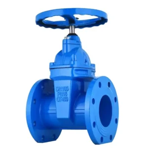 Ductile Iron Concealed Stem Gate Valve Flange Gate Valve