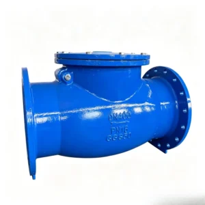 Ductile Iron DIN Swing Check Valve Flange Connection PN10 PN16 2 Inch Water EPDM Sealing
