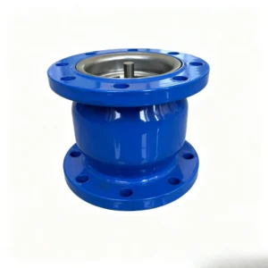 Ductile Iron Flange Connection Manual Silent Check Valve PN10 PN16