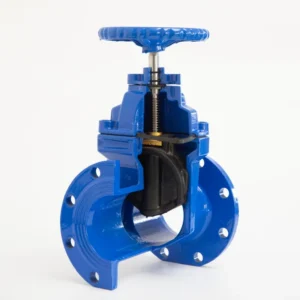 Ductile Iron Flange Seal Gate Valve Soft Seal Non Rising Gate Valve Perfect for Outdoor and Buried Services