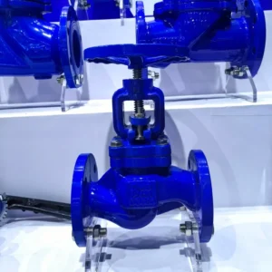 Ductile Iron Globe Valve Brass Sealed Globe Valve DN15 300 Bellows Globe Valve