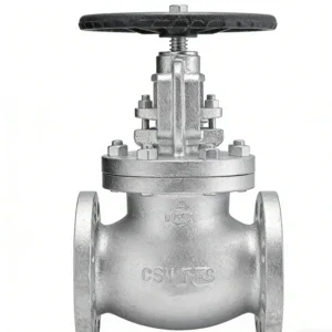 Ductile Iron Globe Valve Cast Iron Bonnet Steam High Temperature Manual OEM