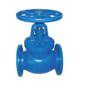 Ductile Iron Globe Valve Manual Operated DN50 DN600mm Port Size Water Media for Medium Low Normal Temperature Applications