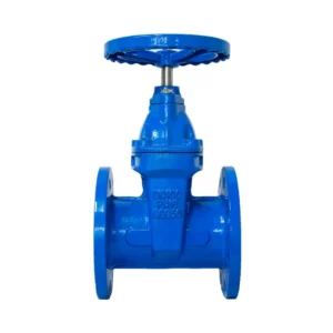 Ductile Iron Manual Flanged Blue Water Gate Valve