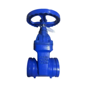 Ductile Iron Manual Rising Stem Angle Gate Valve Water Oil Pipes Groove High Control Structure DN50 DN300 Medium Low