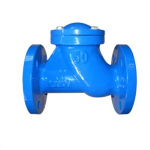 Ductile Iron Manual Water Check Valve with Rubber Clack Flange Connection PN16 ISO9001 Certified