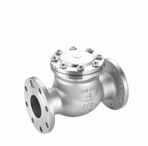 Ductile Iron One Way Check Swing Valve Wear Resistant Anti Backflow Flange Hydraulic Angle Structure for Water Application