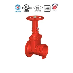 Ductile Iron Resilient Seated Outside Stem and Yoke Gate Valve Flanged and Grooved Ends Fire Sprinkler System Valve F0118