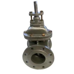 Ductile Iron Stainless Steel/Copper Seal Gate Valve