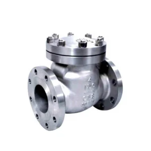 Ductile Iron Stainless Steel Flange Swing Check Valve H44W ANSI GB Standard Heavy Duty Manual Water Port Size 1/2″-12″ OEM