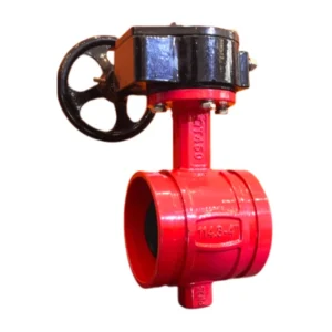 Ductile Iron Standard Size Grooved End Butterfly Valve for Water On off Function Industrial Use
