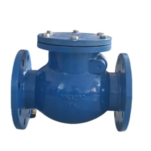 Ductile Iron Swing Check Valve Manual Anechoic Oil Friendly Check Valve
