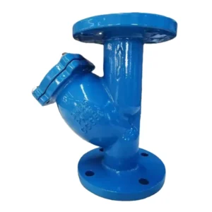 Ductile Iron Y Type Strainer Cast Iron Valves Flange Connection Painting Surface Treatment PN10/PN16 Pressure Pipe Fittings