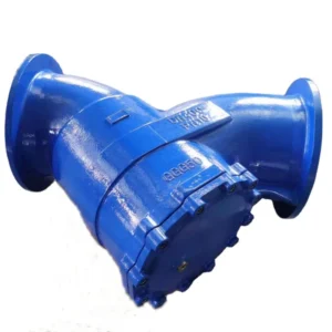 Ductile Iron Y Type Strainer Valve with Flange Connection PN10 PN16 Pressure DN50 DN1200 Model Painting Surface Treatment