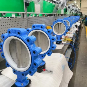 Durable Lug Type Butterfly Valve DI SS304 Body PTFE EPDM Seal PN10 DN100 DN200 OEM for Waste Water Treatment