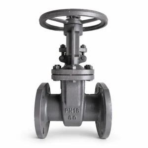 Durable PN16 DN50 Z41H 16C Carbon Steel Hand Wheel Wedge Gate Valve High Temperature Manual Power for Water Vapour Oil
