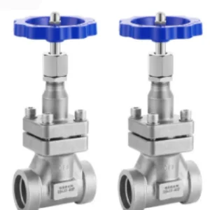 Electric Cryogenic Short axis Globe Valve 196C Socket Welded for Liquid Oxygen Liquid Nitrogen 4.0MPa