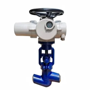 Electric Power Station Globe Valve (DK-J961Y) High Pressure Butt Weld