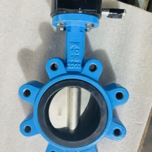 Electric Seat EPDM FKM Flap Marine Dn80 Ductile Iron Lug Butterfly Valve for Water