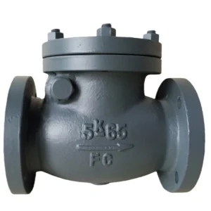 F7358 Cast Iron 5K Lift Check Globe Valves Lift Check Angle Valves