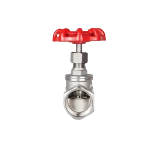 Factory 316 Stainless Steel Threaded Manual Shutoff Globe Valve 1/2″-4″ Port Size FNPT x FNPT Connection for