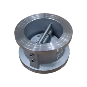 Factory Check Valve DN65 Custom Size Stainless Steel 2″ Check Valve