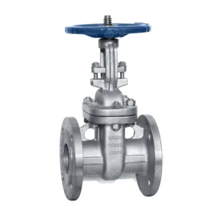 Factory Custom Manual Gas Industrial Application SUS304 JIS Standard Flange Connection Gate Valve DN50