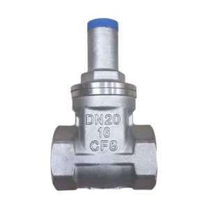 Factory Customization Gate Valves 3/4in DN20 Anti Theft Stainless Steel CF8M Soft Sealing Threaded Gate Valve With Lock
