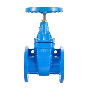 Factory Direct Ductile Iron Soft Seal Gate Valve